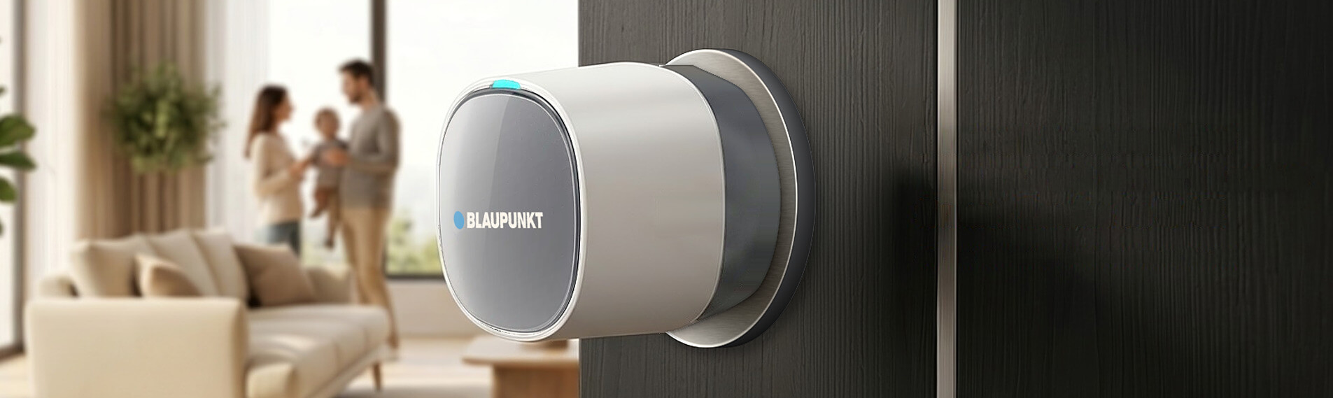 Brand Licensee For Blaupunkt Smart Locks