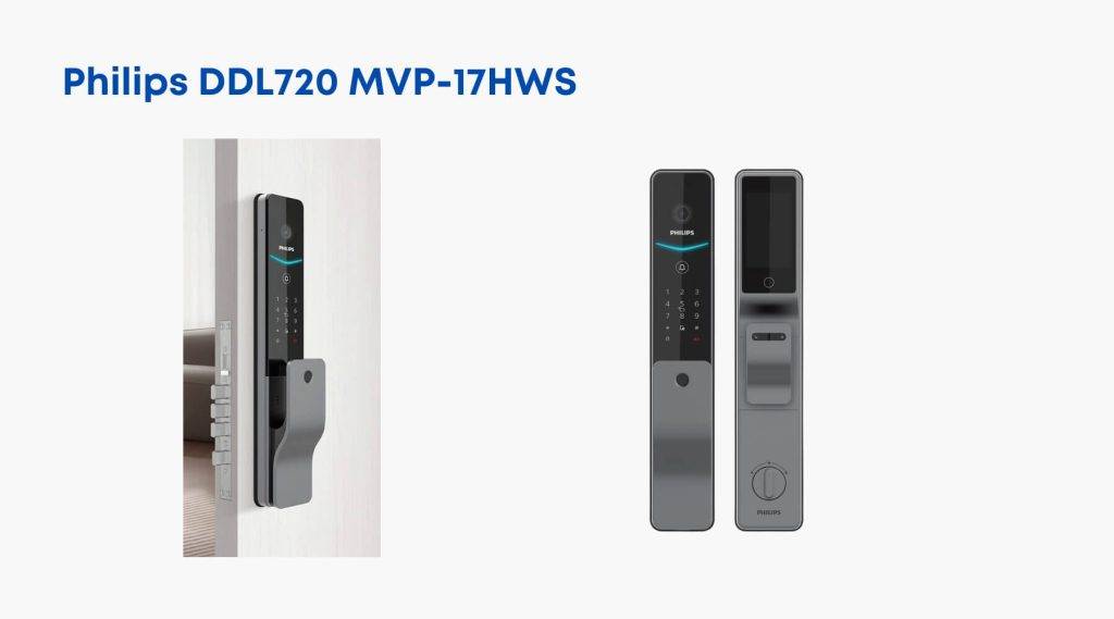 DDL 730 MVP 1
